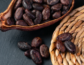 cacao covid