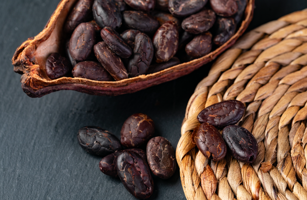cacao covid
