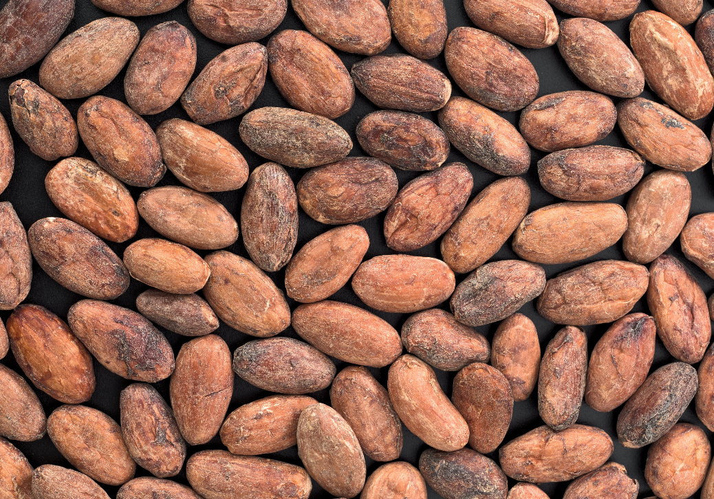 cacao