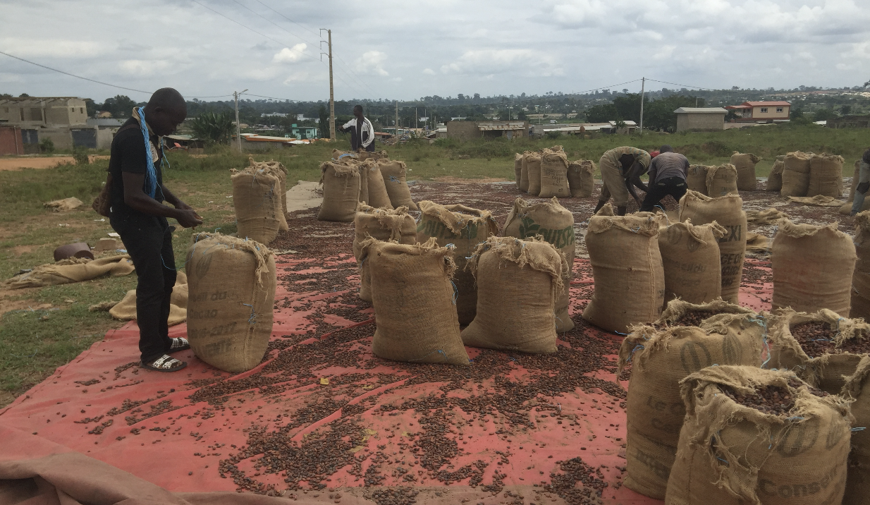 Cacao Ghana Ivoire 2
