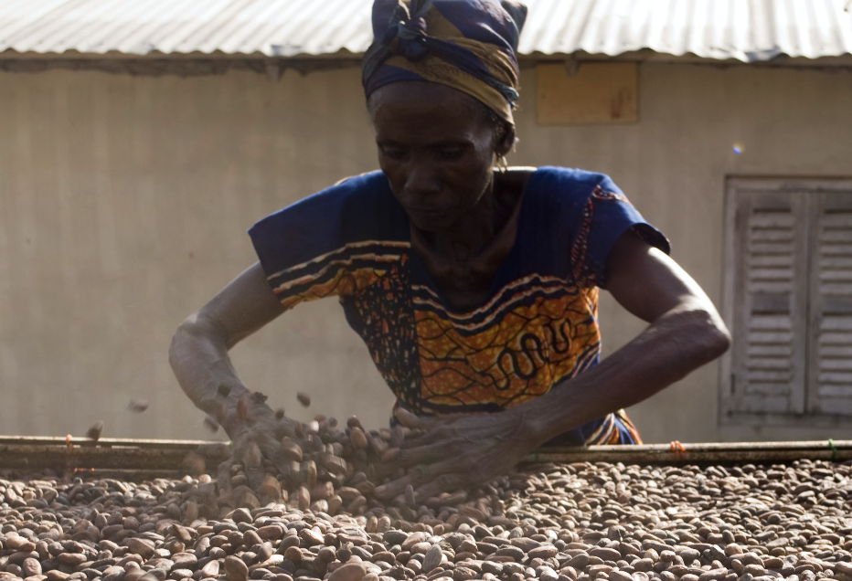 Cacao Ghana Ivoire