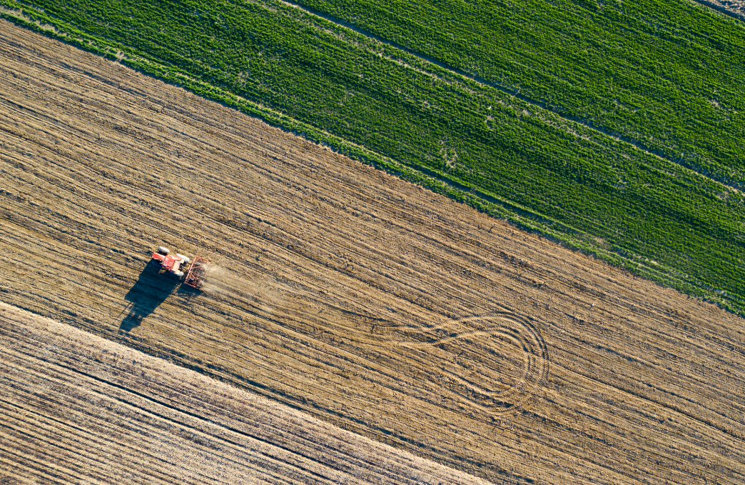 agriculture 1