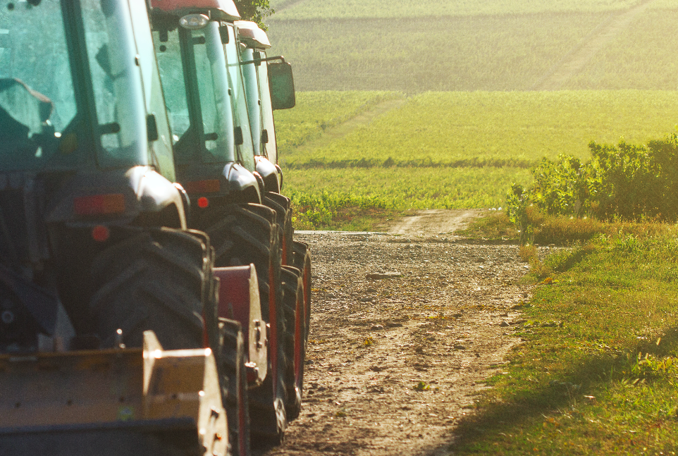 agriculture