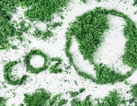 co2 environnement
