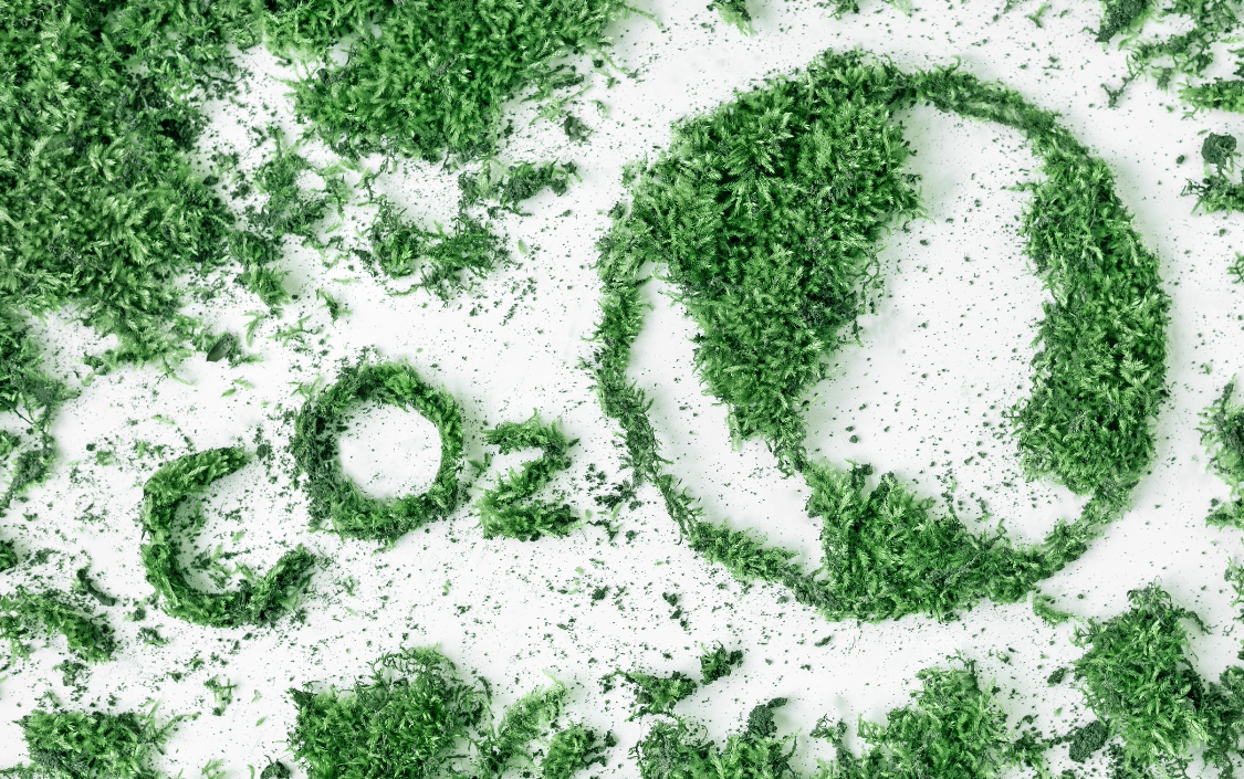 co2 environnement