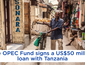 pauvrete tanzanie