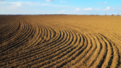 agriculture