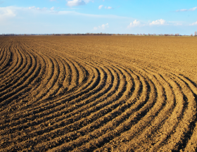 agriculture