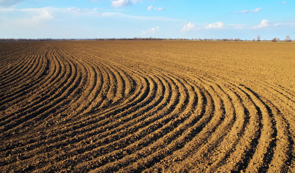 agriculture
