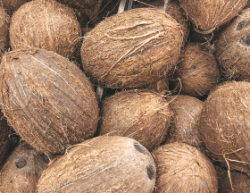 noix de coco