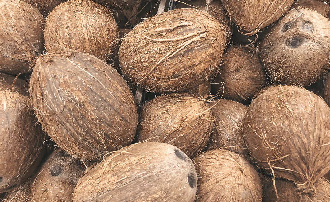 noix de coco