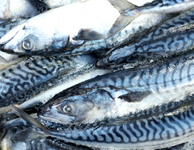 poissons