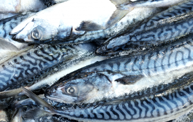 poissons