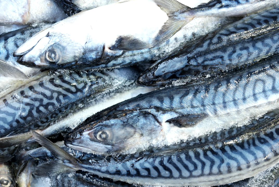 poissons