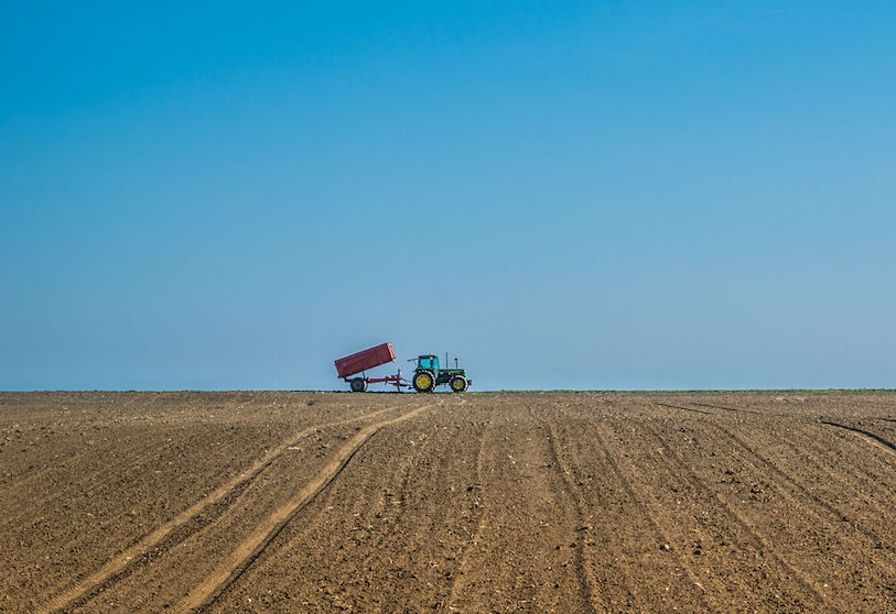L’Afrique du Sud a exporté pour 12 milliards $ de produits agricoles en
