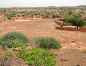 sahel