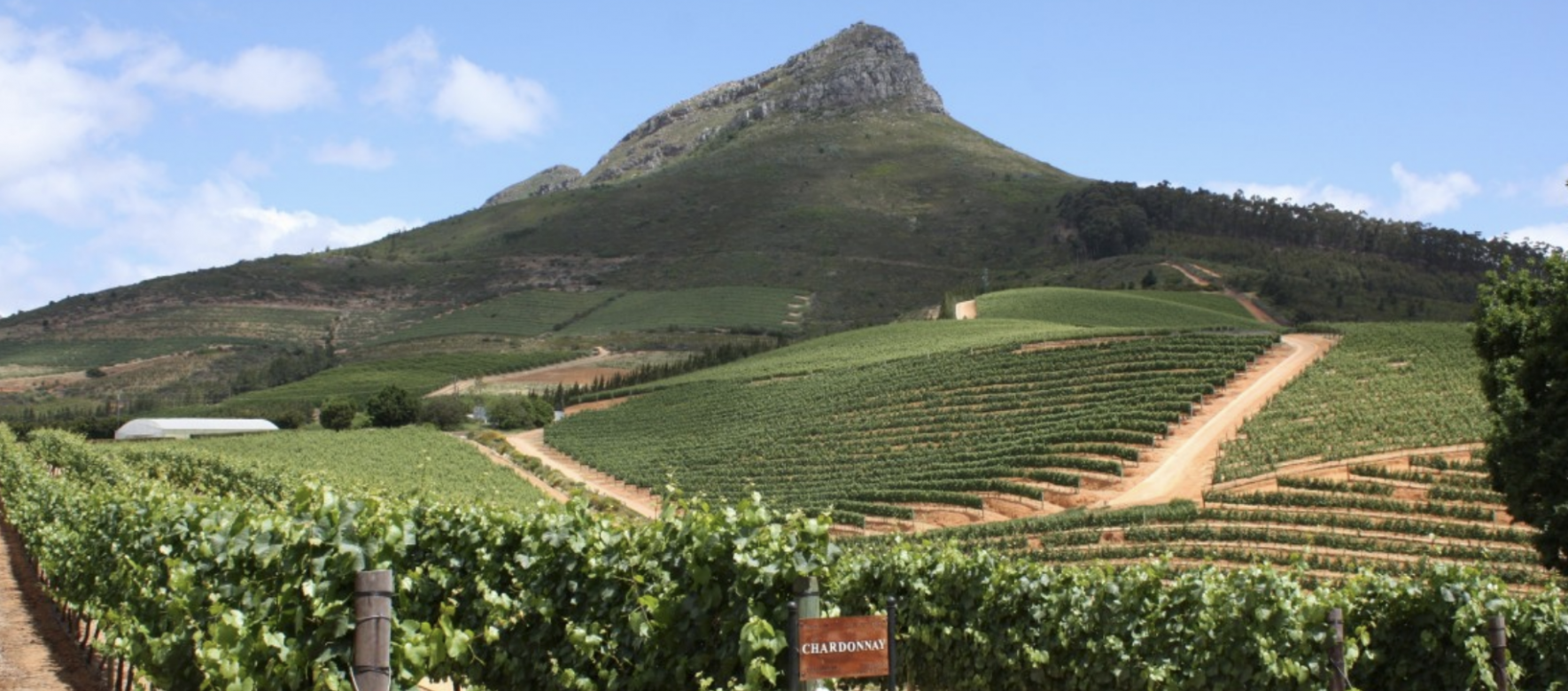 agri afrique du sud