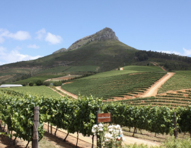 agri afrique du sud