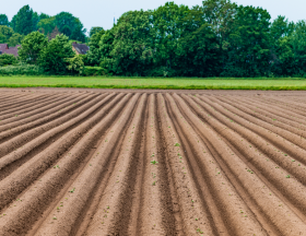 agriculture
