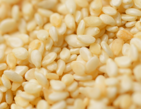 graine sesame