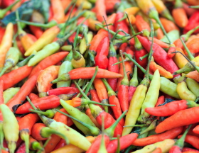 piment