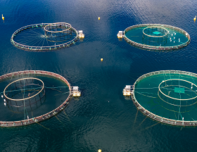 aquaculture