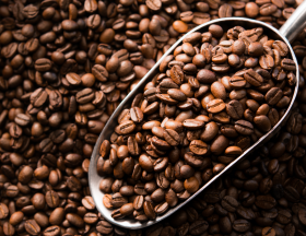grains de cafe 1