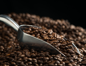 grains de cafe 2