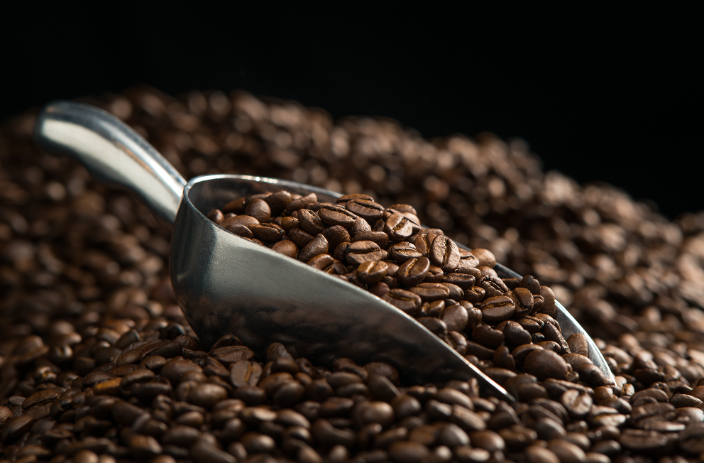 grains de cafe 2