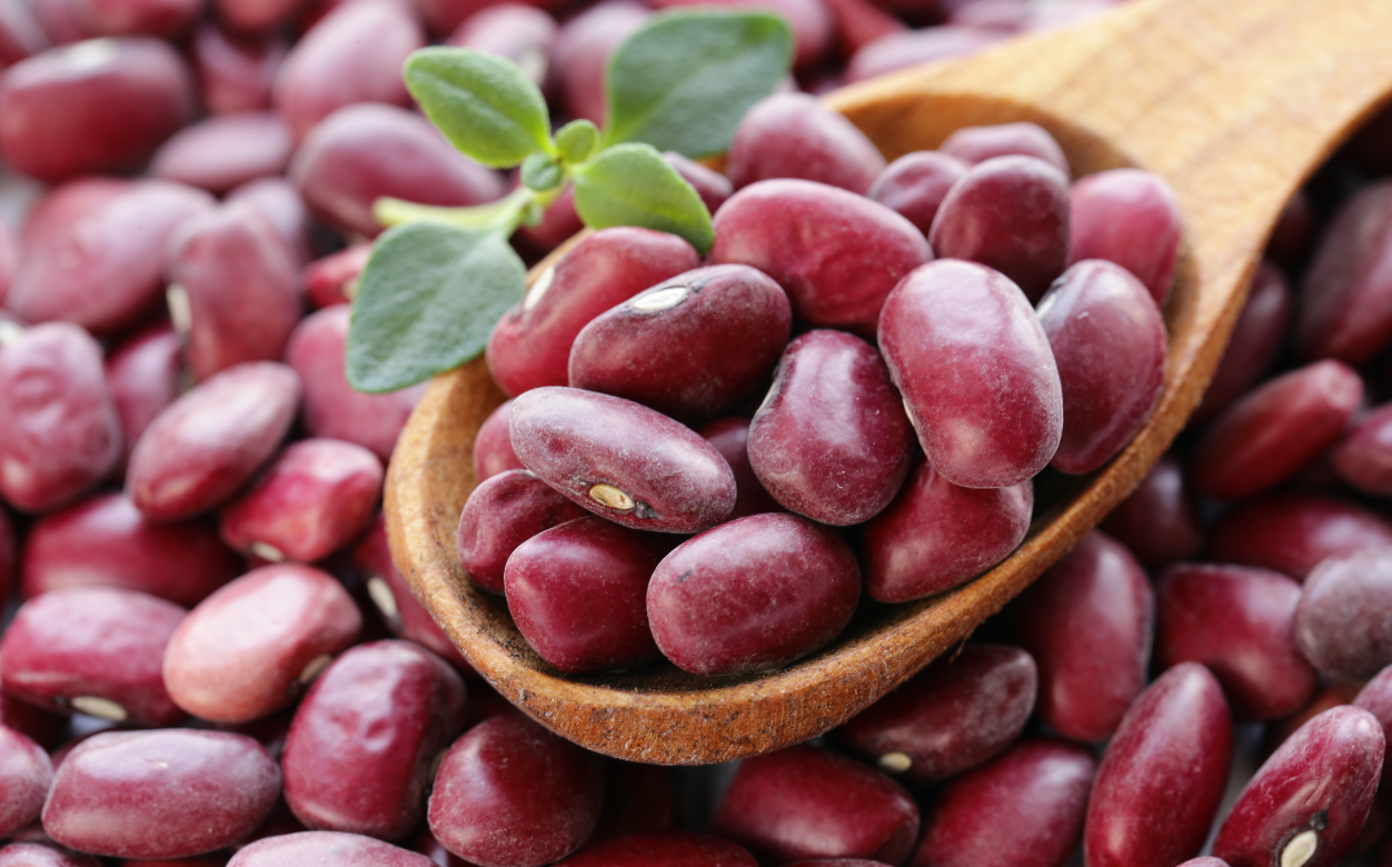 haricots rouges
