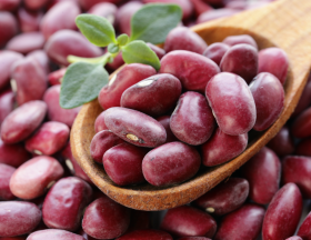 haricots rouges