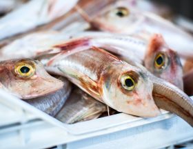 poisson
