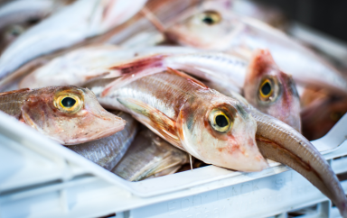poisson