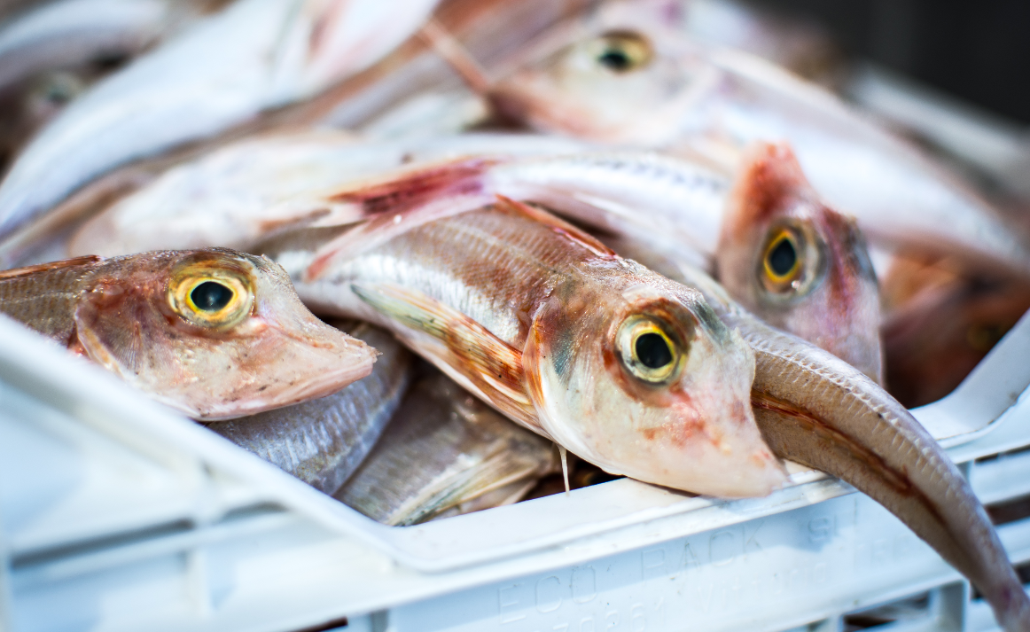 poisson