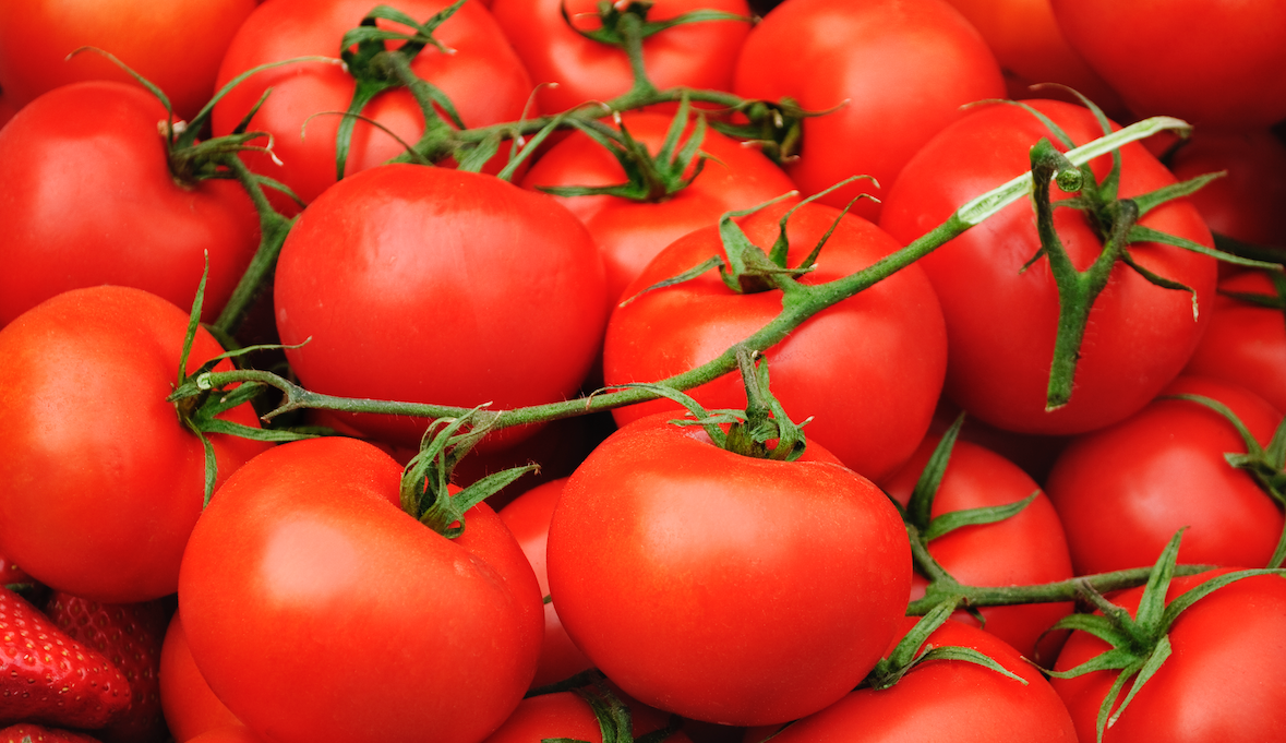 tomates