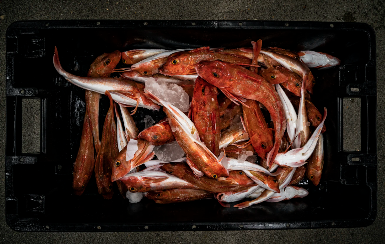 peche