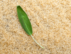 riz