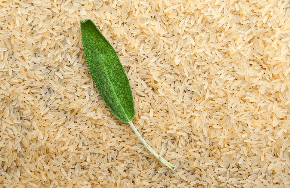 riz