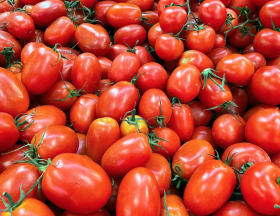 tomate
