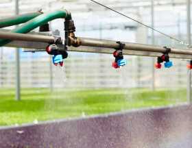 irrigation