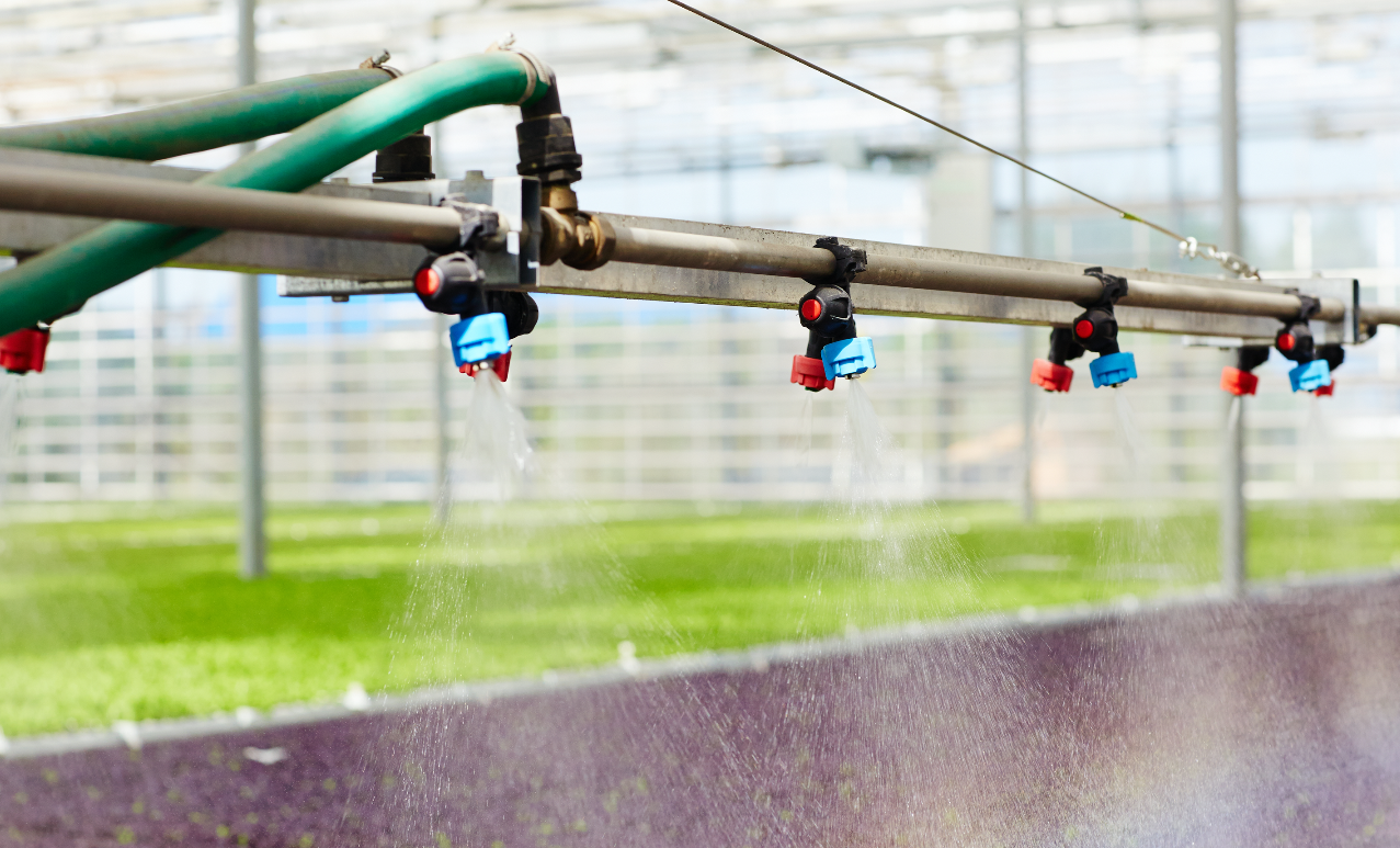irrigation