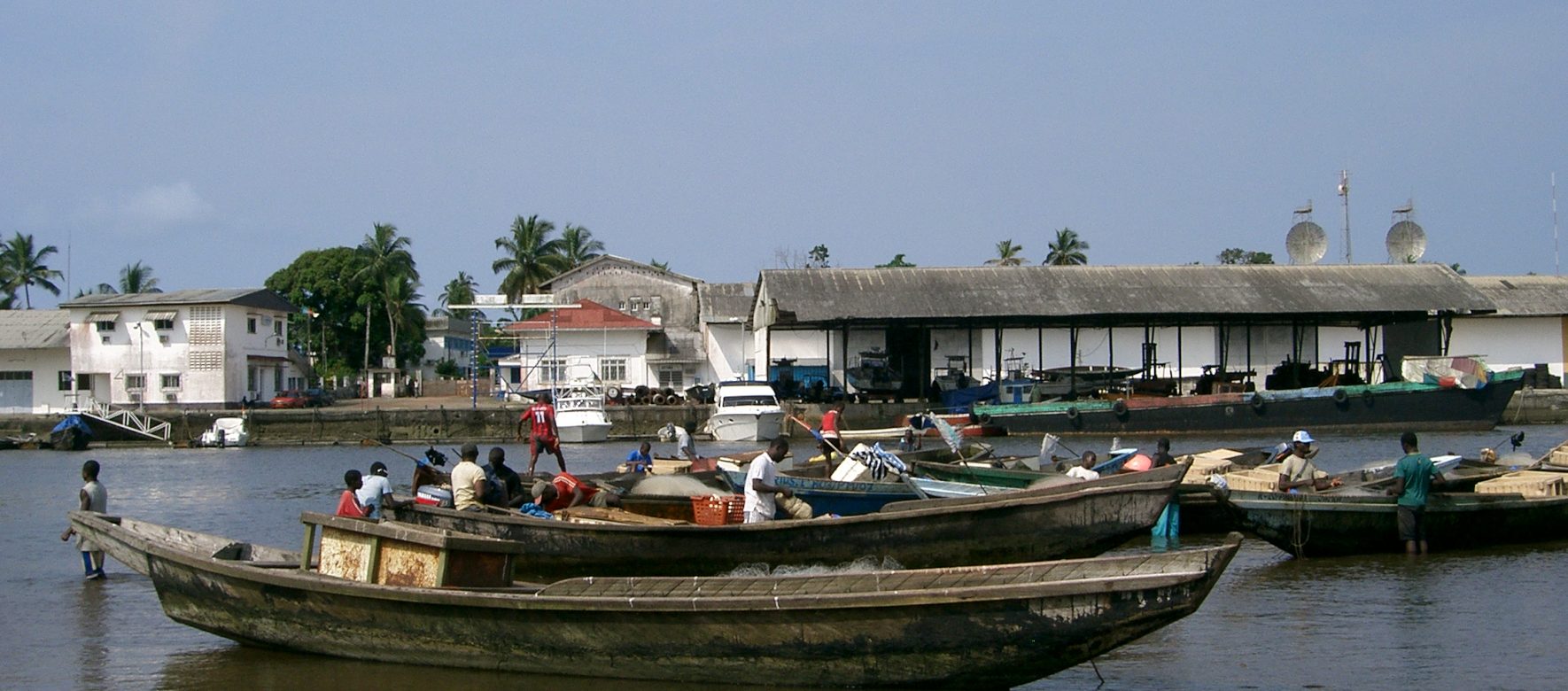 kribi