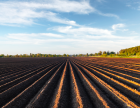 agriculture