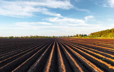 agriculture