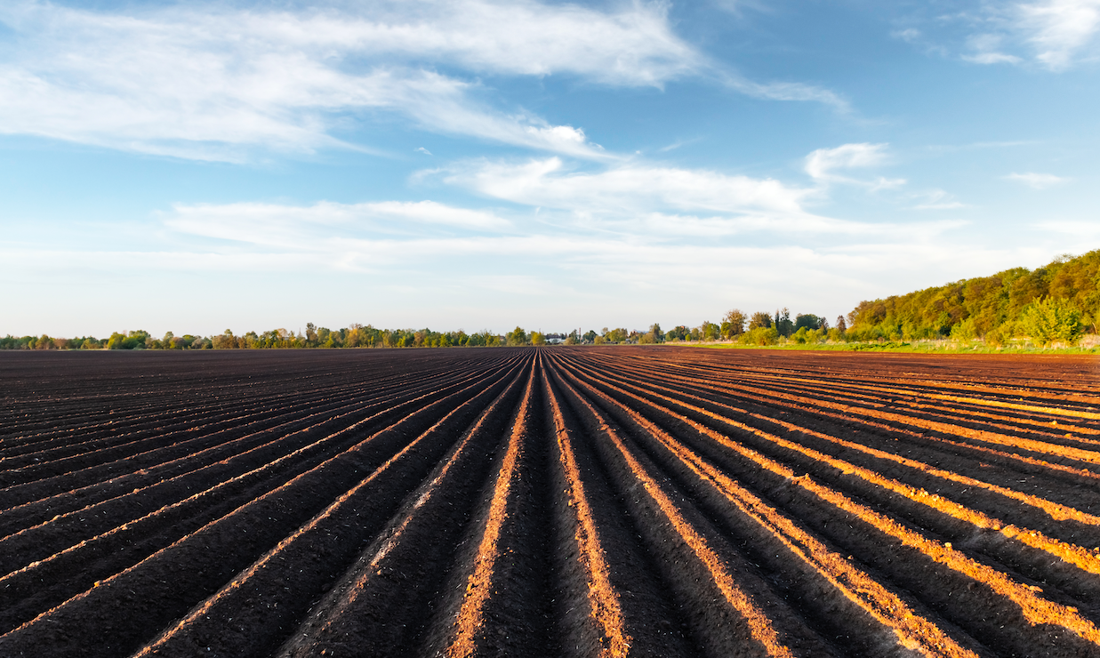 agriculture