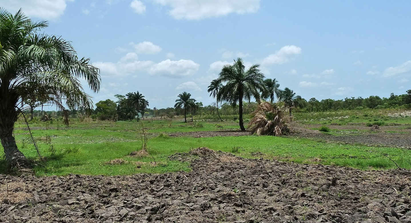 agri benin