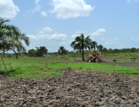 agri benin