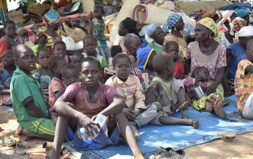Cameroun Plus de 30 000 Camerounais ont fui le pays pour chercher refuge au Tchad