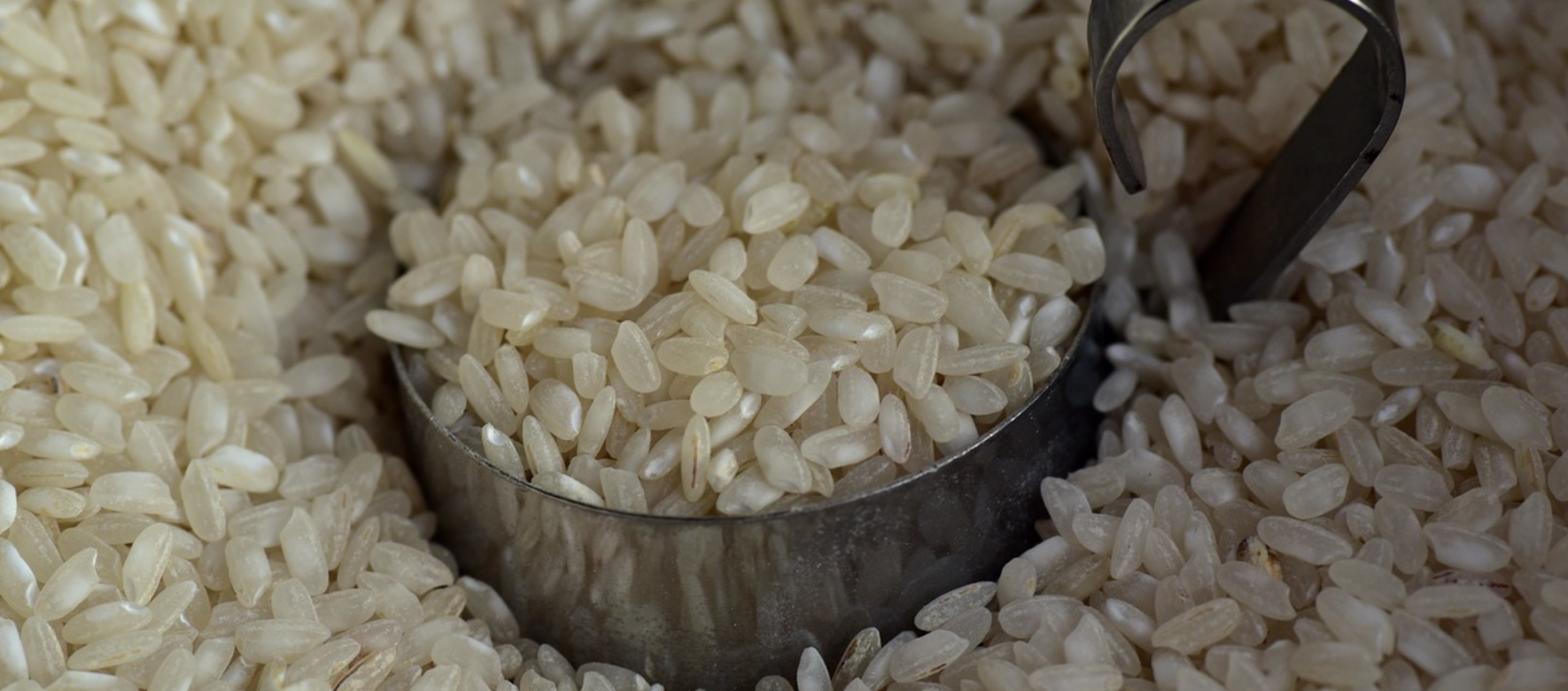 Riz