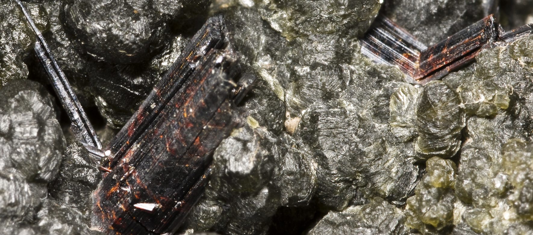 Rutile chlorite Luzenac Par Didier Descouens — Travail personnel CC BY 4.0
